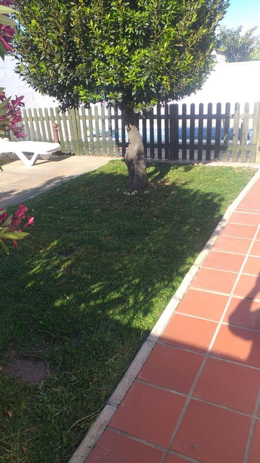 הוילה קוניל דה לה פרונטרה Bellavista De Conil מראה חיצוני תמונה